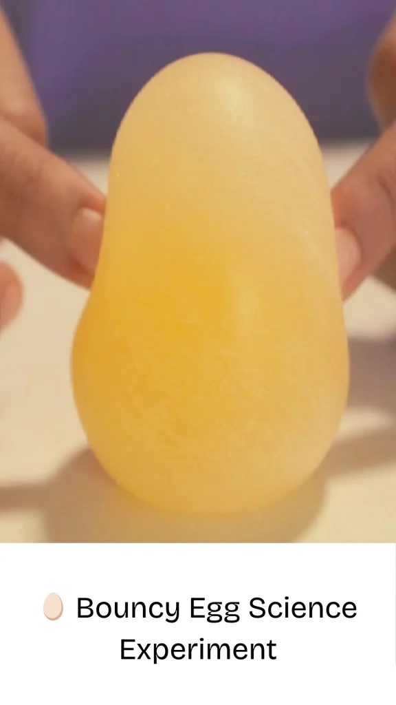 Bouncy Egg Science Experiment