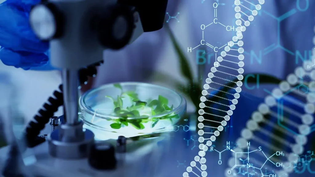 The Future of Biotechnology in Agriculture