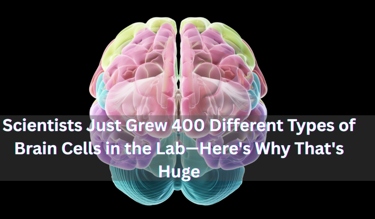 Scientists Just Grew 400 Different Types of Brain Cells in the Lab—Here's Why That's Huge