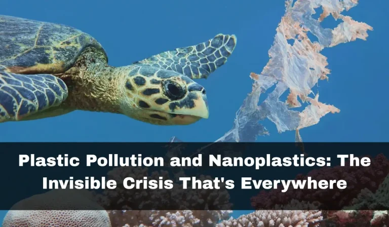 Plastic Pollution and Nanoplastics