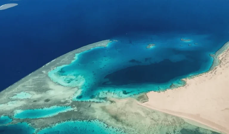 The Red Sea